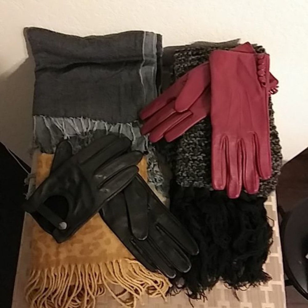 Winter Scarf and Leather Glove Collection